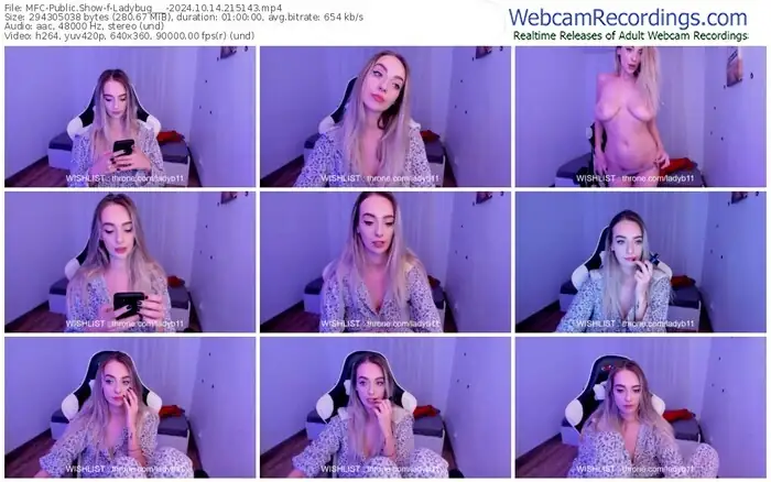 2024/10/14/mfc-ladybug___-21-51-43