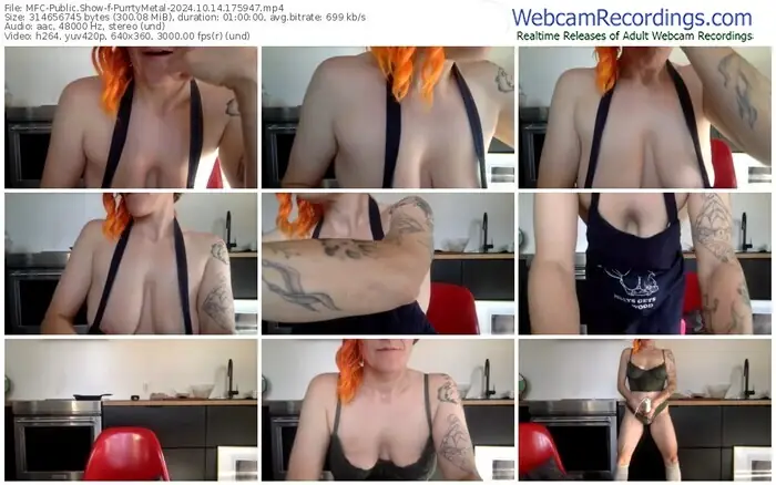 2024/10/14/mfc-purrtymetal-17-59-47