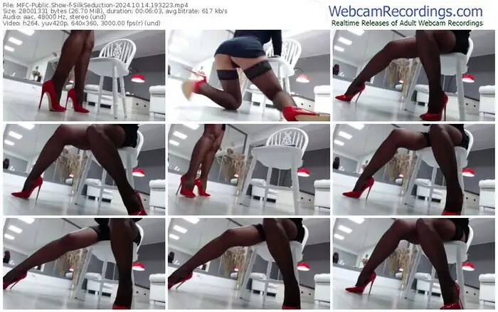 2024/10/14/mfc-silkseduction-19-32-23