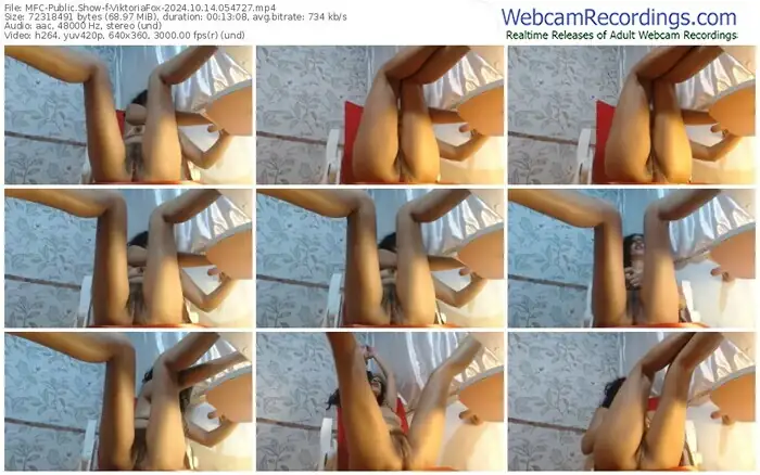 2024/10/14/mfc-viktoriafox-05-47-27