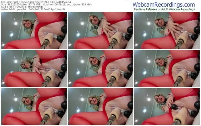 2024/10/16/mfc-allietiger-14-40-45