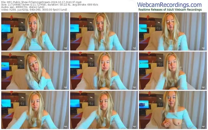 2024/10/17/mfc-flamingodream-01-41-37