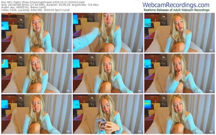 2024/10/17/mfc-flamingodream-02-26-10