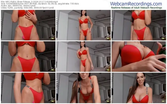 2024/10/17/mfc-meow_s-14-19-49