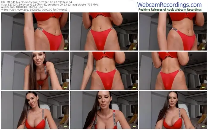 2024/10/17/mfc-meow_s-16-30-34