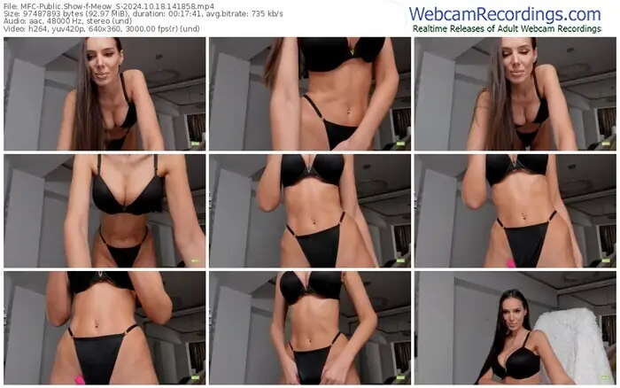 2024/10/18/mfc-meow_s-14-18-58