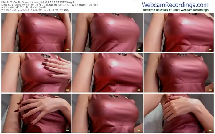 2024/10/19/mfc-meow_s-17-51-53