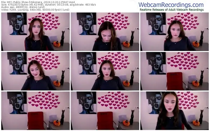 2024/10/20/mfc-nikonara_-12-59-47