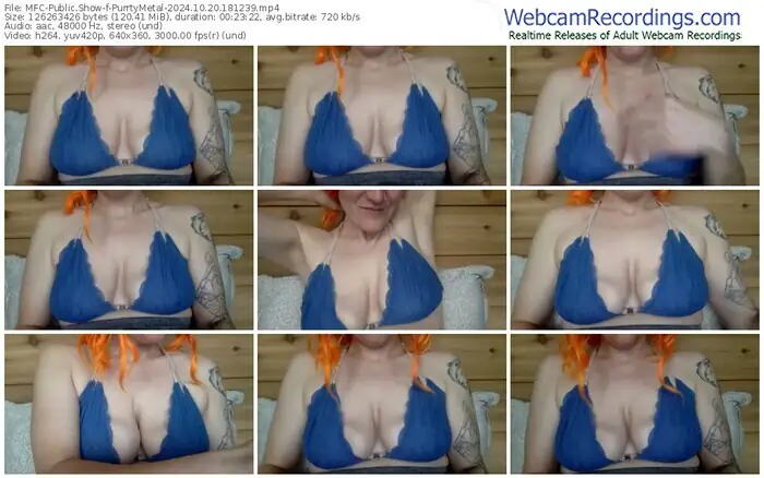 2024/10/20/mfc-purrtymetal-18-12-39