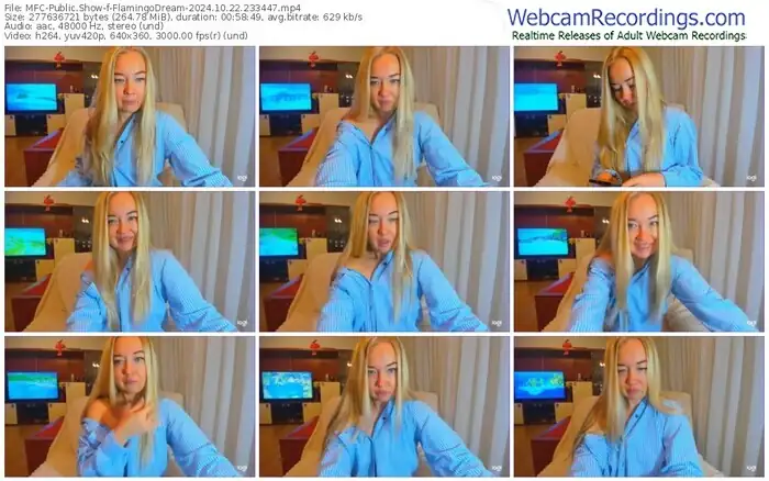 2024/10/22/mfc-flamingodream-23-34-47