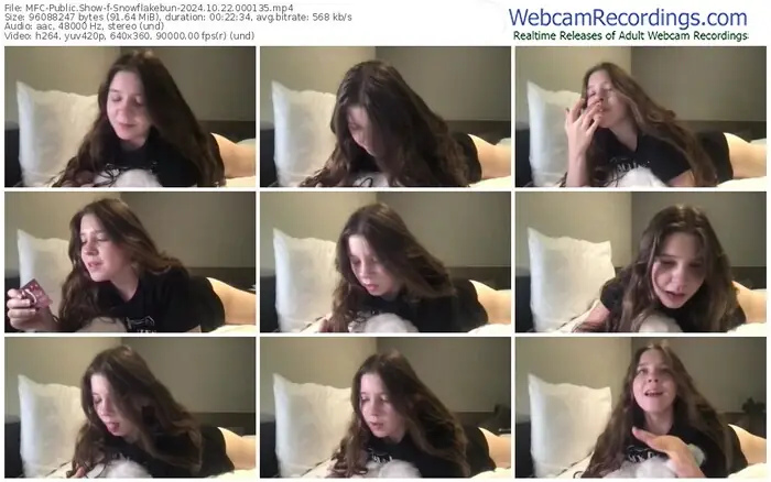 2024/10/22/mfc-snowflakebun-00-01-35