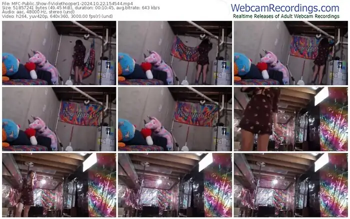 2024/10/22/mfc-violethooper1-15-45-44