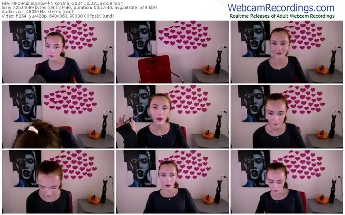 2024/10/23/mfc-nikonara_-13-35-59