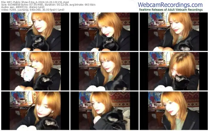 2024/10/23/mfc-sia_a-10-11-51