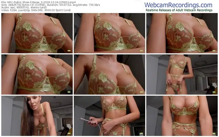 2024/10/24/mfc-meow_s-23-56-52