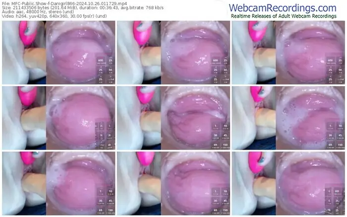 2024/10/26/mfc-danigirl866-01-17-29