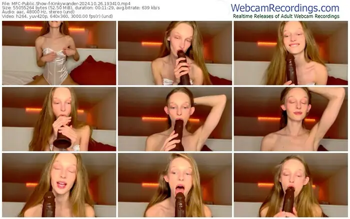 2024/10/26/mfc-kinkywander-19-34-10