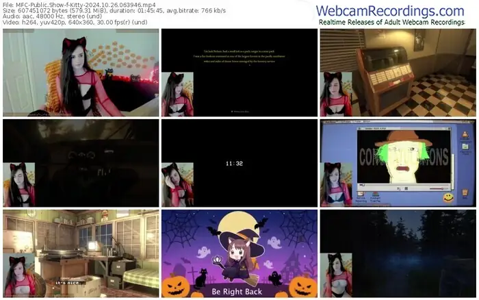 2024/10/26/mfc-kitty-06-39-46