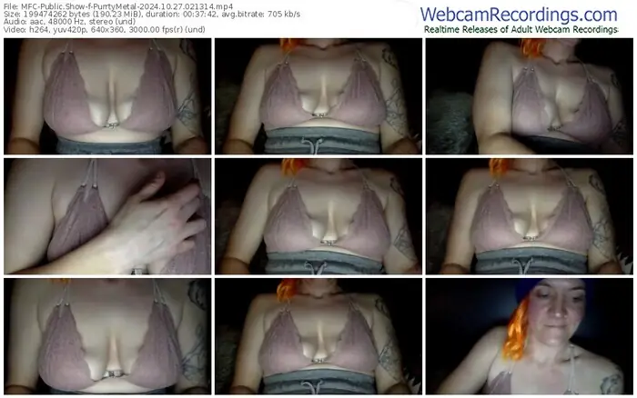 2024/10/27/mfc-purrtymetal-02-13-14