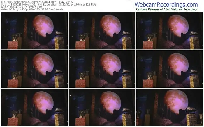 2024/10/27/mfc-rocknrose-03-44-12