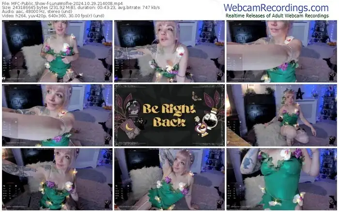 2024/10/29/mfc-lunawolfie-21-40-08