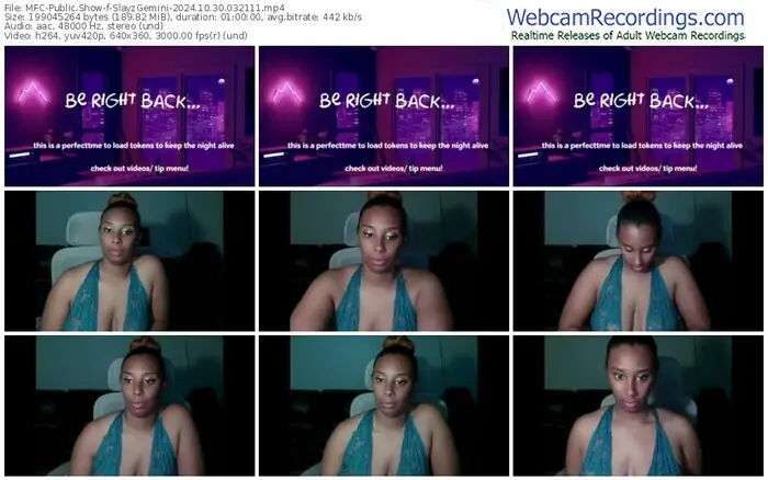 2024/10/30/mfc-slayzgemini-03-21-11