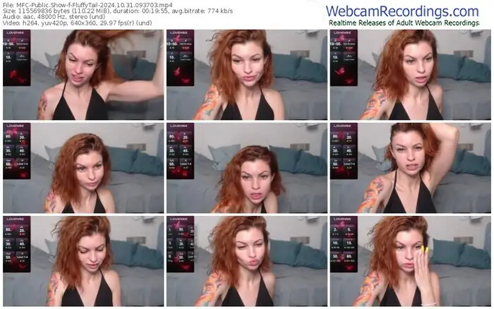 2024/10/31/mfc-fluffytail-09-37-03