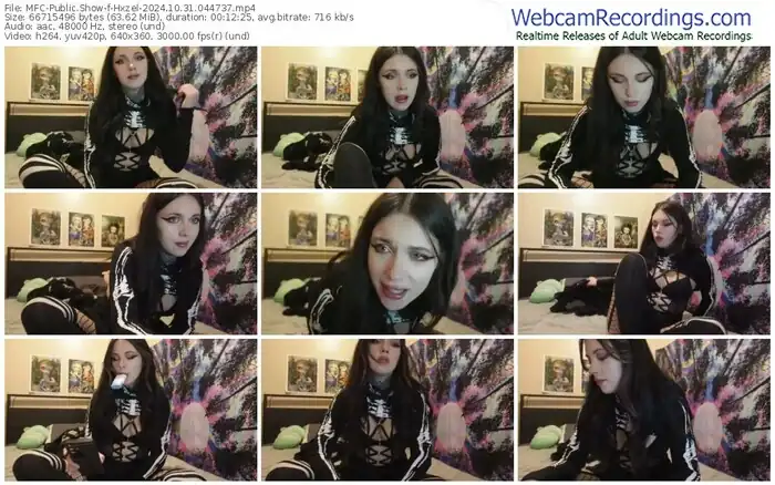 2024/10/31/mfc-hxzel-04-47-37