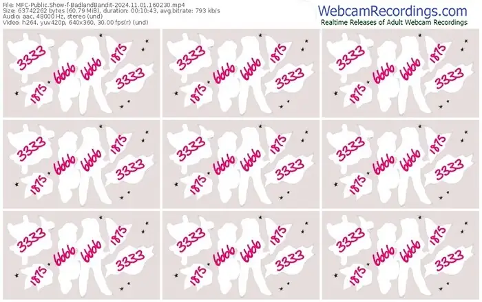 2024/11/01/mfc-badlandbandit-16-02-30