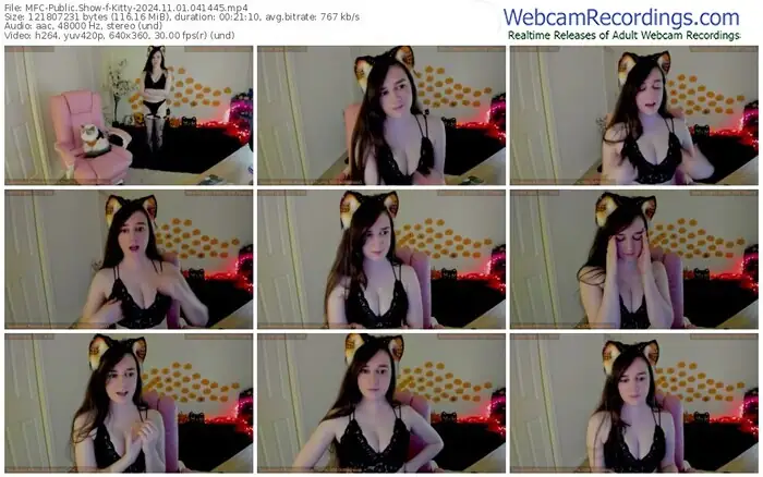 2024/11/01/mfc-kitty-04-14-45