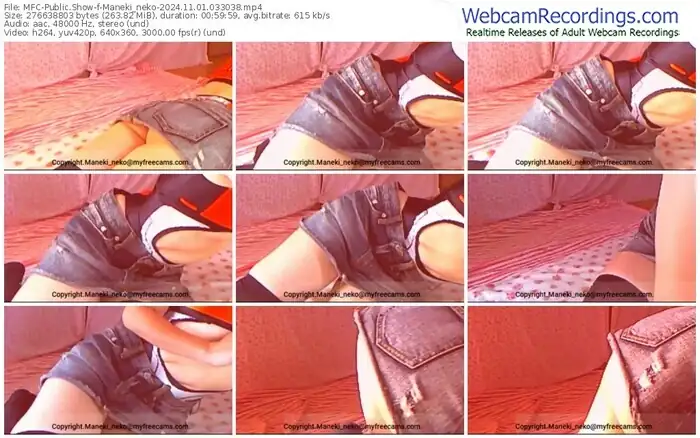 2024/11/01/mfc-maneki_neko-03-30-38