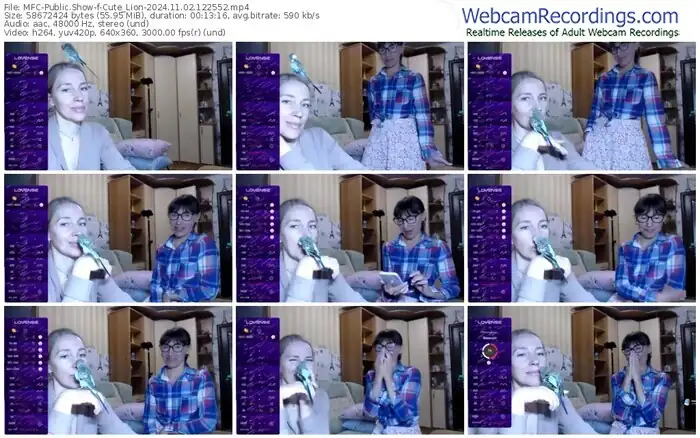 2024/11/02/mfc-cute_lion-12-25-52