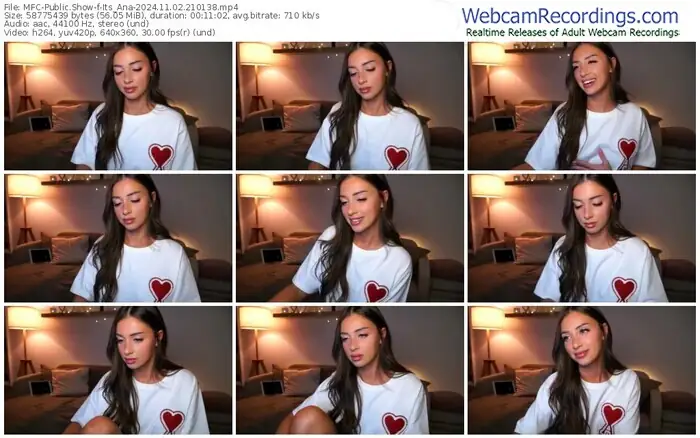 2024/11/02/mfc-its_ana-21-01-38
