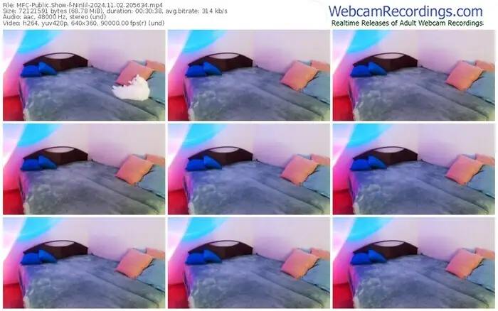 2024/11/02/mfc-ninlil-20-56-34