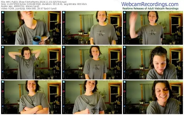 2024/11/03/mfc-artiepaints-02-57-04