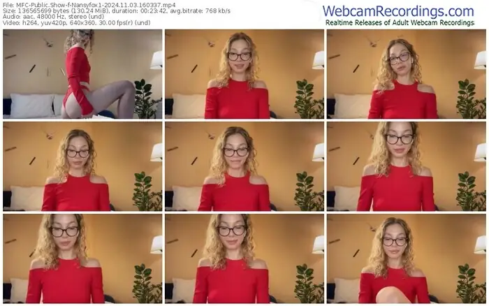 2024/11/03/mfc-nansyfox1-16-03-37