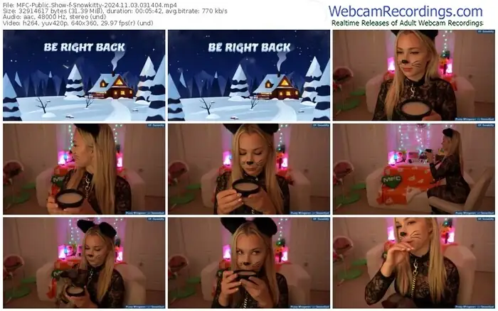 2024/11/03/mfc-snowkitty-03-14-04