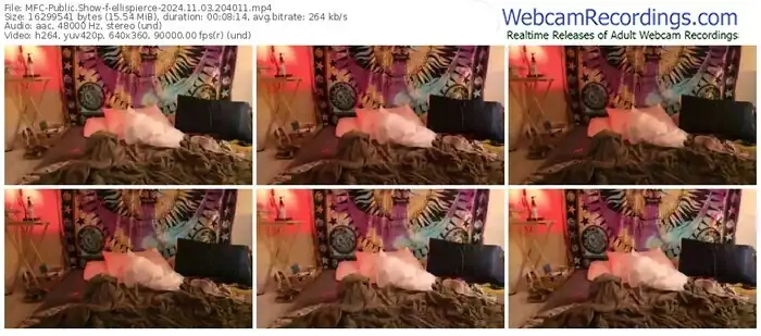 2024/11/03/mfc-ellispierce-20-40-11