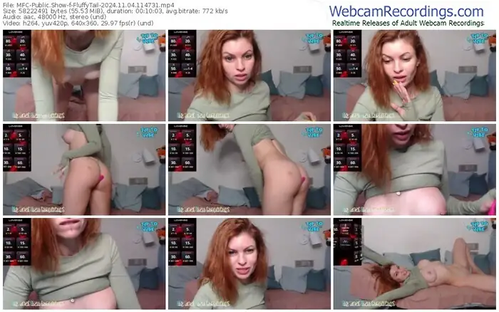 2024/11/04/mfc-fluffytail-11-47-31