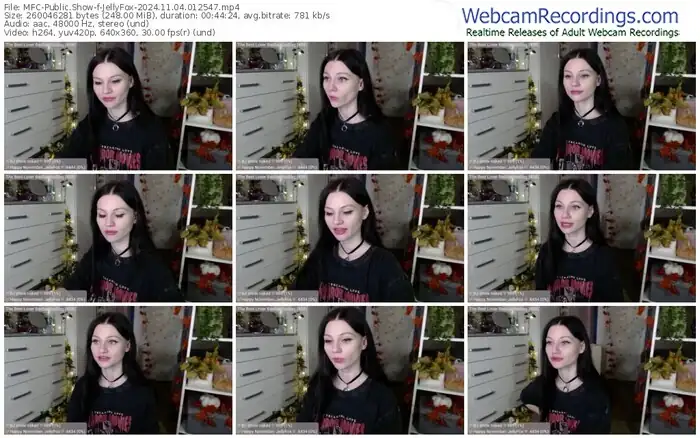 2024/11/04/mfc-jellyfox-01-25-47