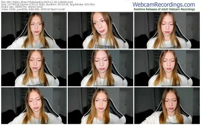 2024/11/04/mfc-robosasha-12-40-20