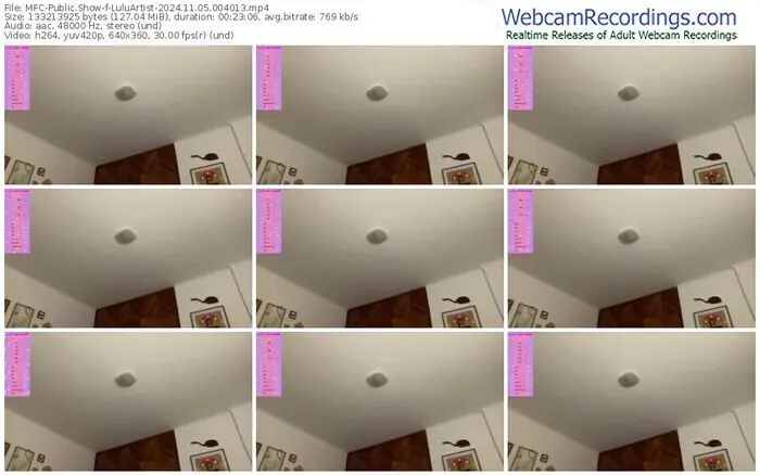 2024/11/05/mfc-luluartist-00-40-13