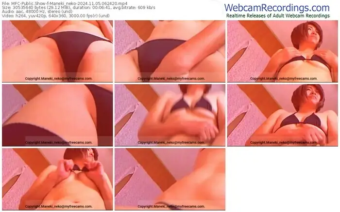 2024/11/05/mfc-maneki_neko-06-24-20