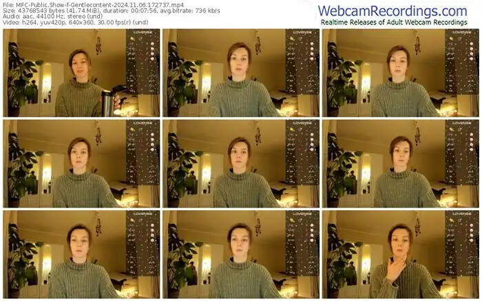 2024/11/06/mfc-gentlecontent-17-27-37