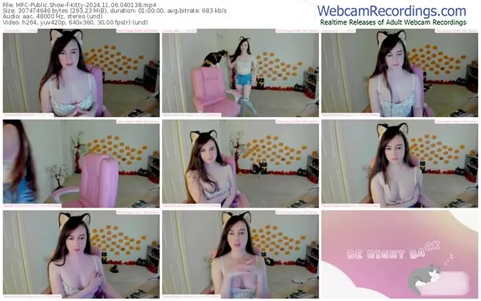 2024/11/06/mfc-kitty-04-01-38