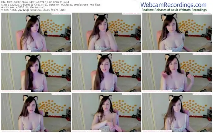 2024/11/06/mfc-kitty-05-04-31