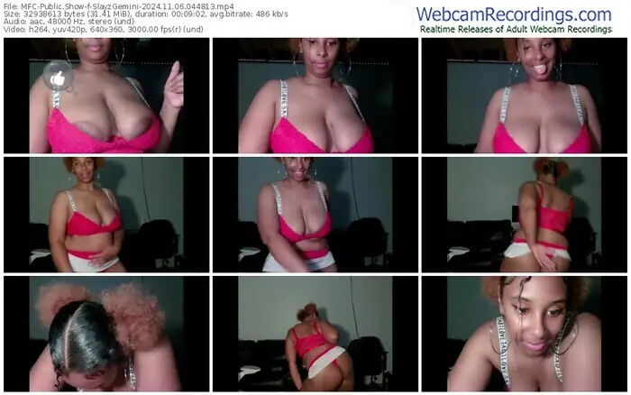 2024/11/06/mfc-slayzgemini-04-48-13