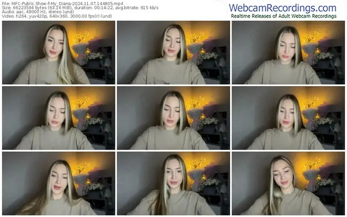 2024/11/07/mfc-my_diana-14-48-05