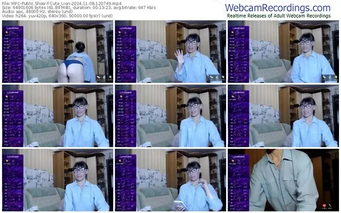 2024/11/08/mfc-cute_lion-12-07-49
