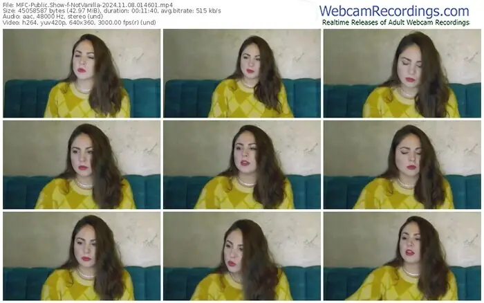 2024/11/08/mfc-notvanilla-01-46-01